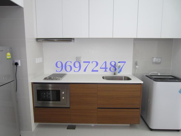 The Miltonia Residences (D27), Condominium #153667332